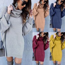 Sweaters Women's Casual Knit Dress | Long Sleeve Turtle Neck Sweater | Loose Winter Pullover with Solid Colour Top | Fashion Autumn Wear