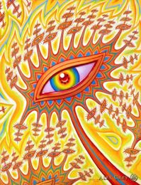 poster 32x24 17x13 Trippy Alex Grey Wall Poster Print Home Decor Wall Stickers poster Decal025247z8361634