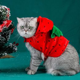 Strawberry Costume Christmas Costume Plush Warm Cat Sweater Santa Poncho Coat Apparel with Hat for Cats and Small Dogs Red