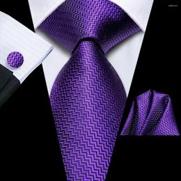 Bow Ties Striped Solid Purple Tie For Men 2024 Fashion Brand Wedding Party Paisley Necktie Handky Cufflink Wholesale Hi-Tie Designer