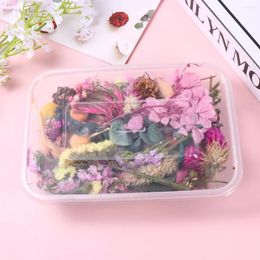 Decorative Flowers Dried Flower Pressed Diy Dry Resin Natural Nail Mixed Making Real Scrapbooking Bath Crafts Jewellery Handmade Multiple