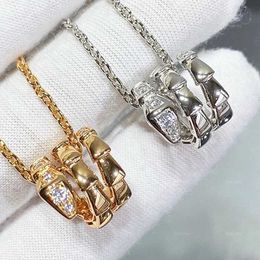 Pendant Necklaces Classic Design 925 Sterling Silver Zircon Snake Bone Necklace for Womens Fashion Brand Premium Jewellery Christmas Gift