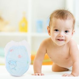 5 Pcs Diapers Disposable Swim Pants for Baby Swimming Swimpants Men and Women Newborn Nappies
