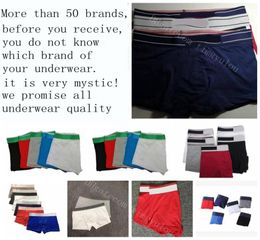 Mysterious Brands Mens Underwear Underpants Boxer Shorts Cotton Ceuca Boxer Gay Men039s Adult Boxershorts Soft Men Boxers Fashi2729325