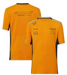 Formula 1 T-shirt 2022-2023 F1 Team Polo Shirt T-shirt Racing Sports Breathable Jersey Summer Race Brand Men's Printing T-shirt