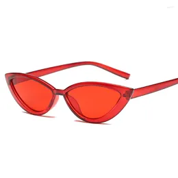 Sunglasses FASHION Sexy Cat Eye Triangle LADIES Small Size Modern Retro Designer Women Sun Glasses For Shades Lady