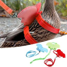 Chicken Little Angel Wings Harness Chest Strap Leash Set Traction Rope Duck Breast Outing Pet Supplies Accessories 240530