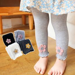 Girl Leggings Autumn Pants Baby Pantyhose Child Toddler Pant Flower Cotton Knitting Trousers for Kids Infant Legging Spring F4531