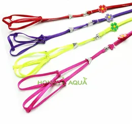 Dog Apparel Pet Supplies Teddy Bichon Small Leash Rope Thoracic Traction Multiple Colour Random Colour Favourite