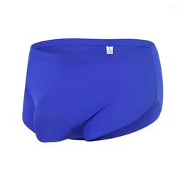 Underpants Men Underwear Boxershort Sexy Ice Silk Boxer Short Homme Low Rise U Pouch Man Panties Breathable Cuecas Masculina