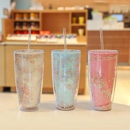 Water Bottles 750ml BPA Free Plastic Cup With Lid And Straw Double Layer Bottle Coffee Mug Drinking Juice Tumbler Drinkware