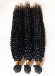 Wet and Wavy Brazilian Human Hair Bundles Kinky Curly Factory whole and retail truly Peruvian Malaysian Indian hair weft No Ta5926174