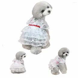 Dog Apparel Summer Cat Dress Puppy Princess Skirt Pet Lace Camisole Tutu For Small Teddy Chihuahua Shih Tzu Yorkshire