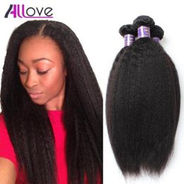 Allove 8A Brazilian Human Hair Yaki Straight 4pcsLot Malaysian Hair Weaves Peruvian Virgin Hair Indian Human Virgin Extensions90261879995