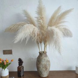 Decorative Flowers Fluffy Natural Pampas Grass Real Large Dried Bouquet Indoor Home Decor Boho Wedding Arch Decoration Christmas