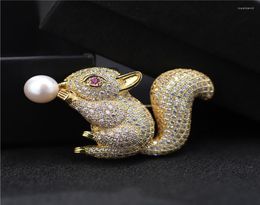 Brooches Freshwater Pearl Brooch Squirrel Pins For Women Fashion Scarf Clip Animal Jewellery Broach Bouquet Christmas Gift2766811