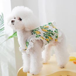 Dog Apparel Summer Lace Sling Skirt Cat Back Heart Small Spring And Fresh Pet Dress