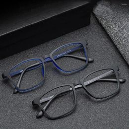 Sunglasses Ultra-Light Pure Titanium Blue Ray Blocking Reading Glasses Men Outdoor Hyperopia Business Large Frame Eyeglasses With Diopter