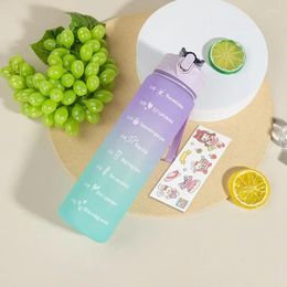 Water Bottles Ins Frosted Gradient Cup 750ML Drink Hint Gift Colour Portable Straw Christmas With Hand
