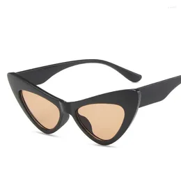 Sunglasses Cat Eye Shape Women's European American Style Candy Colour Trendy Sun Glasses High Quality Female