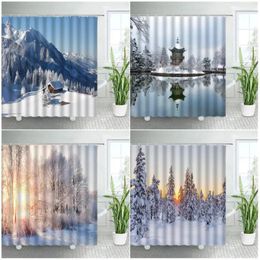 Shower Curtains Winter Rural Natural Scenery Snow Forest Park Landscape Home Decor Bathroom Fabric Bath Curtain Set With Hooks