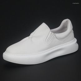 Casual Shoes Korean Version Of The Trend Leather Low-top Board Thick Soles Comfortable Small White All Match