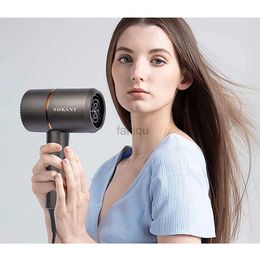 1000W Hair Dryers Hairdryer Brush Lightweight Home Travel Hair Dryer With Diffuser Household Styler Fast Drying Travel Blow Dryer 240403