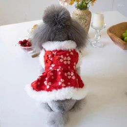 Dog Apparel Puppy Clothes Chinese Year Tang Suit Winter Costume Yorkshire Chihuahua Schnauzer Pomeranian Poodle Clothing