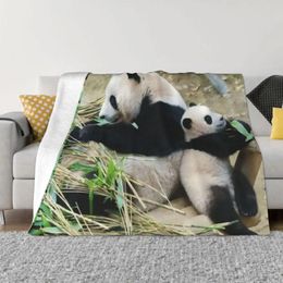 Blankets Fubao Aibao Panda Fu Bao Blanket Winter Warmth Hypoallergenic Throw For Easy Care Machine Travel