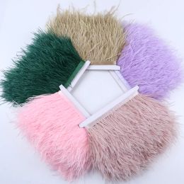 Party Decoration Multicolor Real Ostrich feather Trims Ribbon 8-10cm White Ostrich for Dress Clothing Decorations Sewing feathers Crafts 2024401