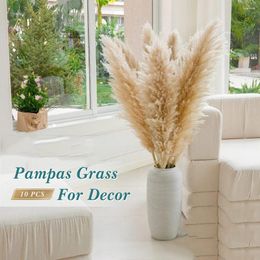 Decorative Flowers Pampas Grass Extra Large Natural White Grey Dried Flower Bouquet Fluffy For Boho Vintage Home Wedding Decoration