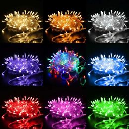 LED Strings Multicolor Warm White 100LED 10M Lighting New Waterproof PVC Plastic Lip Lap Lamp Party Decoration YQ240401