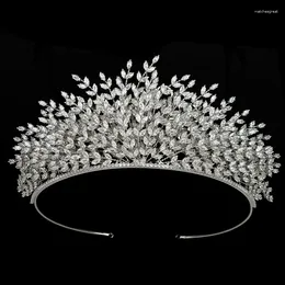 Hair Clips Headwear And Crown HADIYANA Fashion Feather Shape Bridal Wedding Jewelry Zircon BC6420 Girl Party Gift