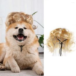 Dog Apparel Show Wig Costume Exquisite Pet Vibrant Cat For Parties Festivals Funny Cute Halloween