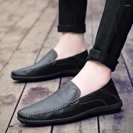 Casual Shoes Big Size 47 Flat For Men Breathable Slip-on Soft-soled Driving Fashion Comfortable Mens Walking