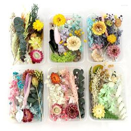 Decorative Flowers 1Box Random Real Dried Flower Dry Plants DIY Candle Epoxy Resin