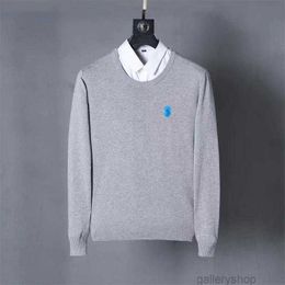 Polo Hoodie Designers Fashion Sweater Ralp-hes Polos Mens Women Polos Tees Tops Man s Casual Chest Letter Shirt Luxurys Clothing Sleeve Ajhms