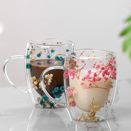 Mugs Dry Flowers Double Wall Glass Cup Insulated Espresso Coffee Decorative