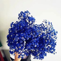 Flores Secas Blue Gypsophila Dried Flowers Arrivals In For Bedroom Living Room Decoration Valentines Day Gift 240325