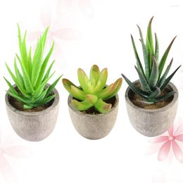 Decorative Flowers 3pcs Lovely Imitated Plants Bonsai Simulation Succulent Ornaments Home Decoration For Office Living Room