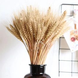 Decorative Flowers Dried With Stems Golden Wheat Real Ears For Farmhouse Home 100pcs Natural Bouquet