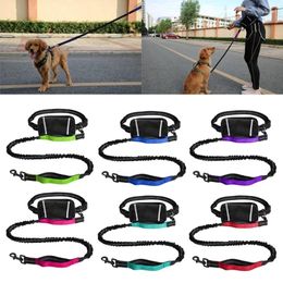 Dog Collars Sports Waist Bag Long Leash For Multifunctional Outdoor Reflective Training Hiking Y5GB