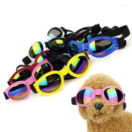 Dog Apparel Pet Products Lovely Cat Sunglasses Reflection Eye Wear Glasses For Medium Large Pos Props Accessory UV