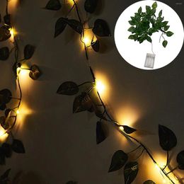 Decorative Flowers 2m Artificial Leaf Vine Scindapsus Aureus Garland For Terrarium Convenient And Practical Flower Arrangements