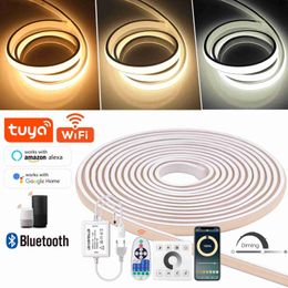 LED Strings Dimmable COB Strip Light 220V Ra90 Waterproof 288LEDs/m Smart Neon Strips Flexible Ribbon Remote/Bluetooth/Wifi Control YQ240401