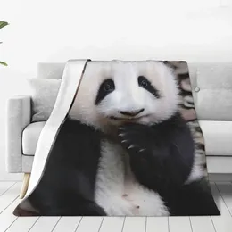 Blankets Huahua Panda Animal Blanket Soft Plush Flannel Fleece Throw For Bedroom Affordable