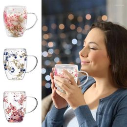 Wine Glasses 350ml Double Wall Glass Cup With Handle Dried Flower Decorated Coffee Milk Mug Heat Resistant Tea Cups Kitchen Supplies