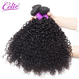 Wigs Wigs Celie Brazilian Curly Hair 3 Bundles 100g/ Piece Remy Human Hair Natural Black Color Brazilian Hair Weave Bundles