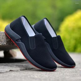 Fitness Shoes Men's Spring Cloth Breathable Soft Bottom Slip-on Casual Light Comfortable Safety Driving Work
