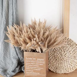 Decorative Flowers 6 Bundles Cream Pampas Grass Fluffy Room Phragmites Decoration Natural Tail Dried Bouquet Boho Home Decor